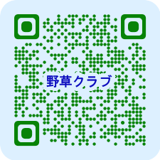 QRcord